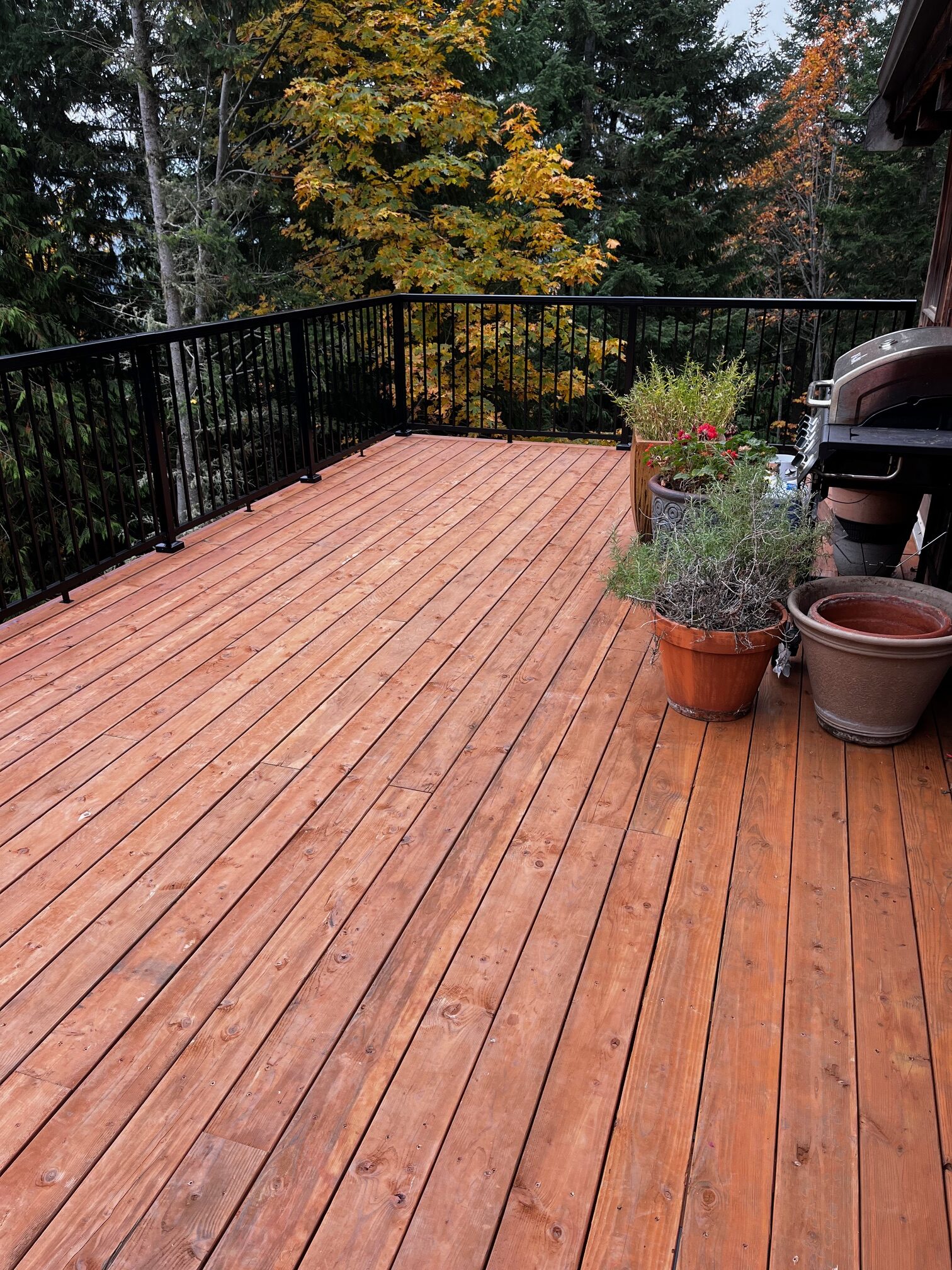 Deck Remodel